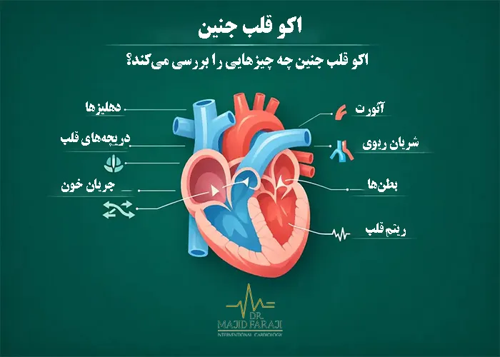 اکو قلب جنین واجبه؟