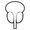 درمان پروستات