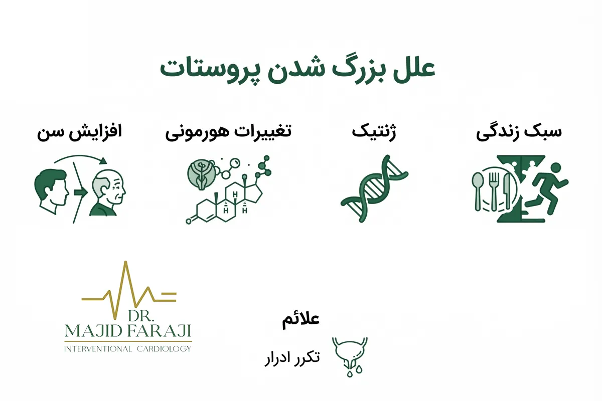 علت مشکلات پروستات در مردان